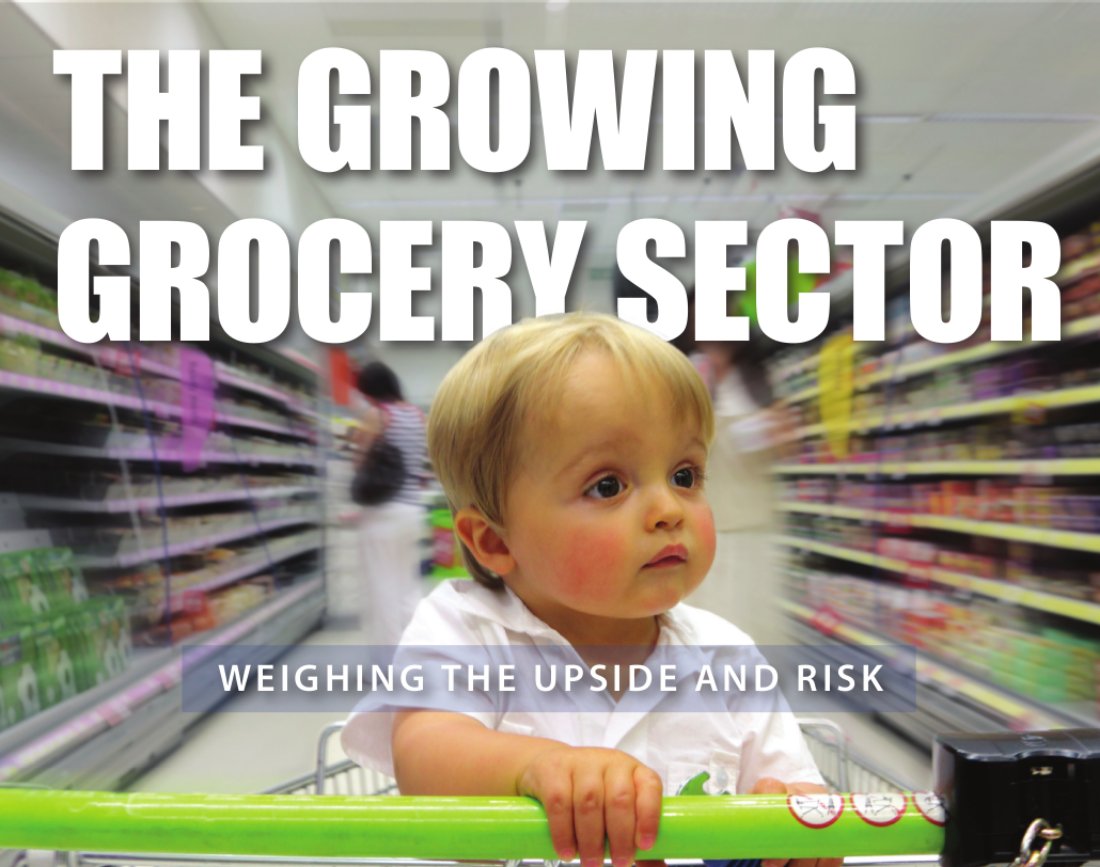 the-growing-grocery-sector