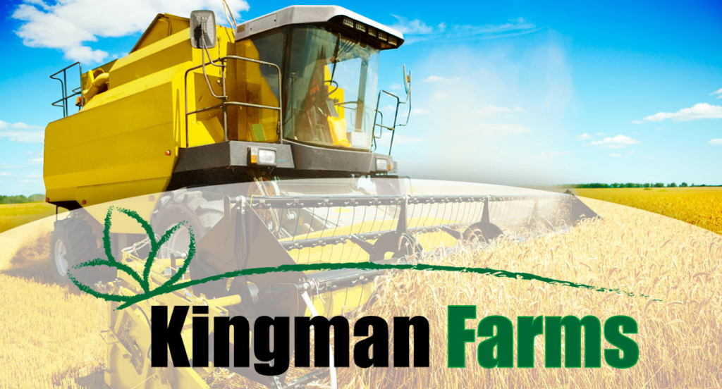 Kingman Farms Auction